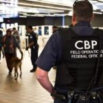 Допрос на границе США - как подготовиться и избежать проблем