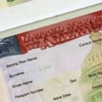 Первый вьезд в США по грин-карте - как избежать ошибок и успешно начать новую жизнь