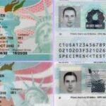 На какой срок выдается Грин-карта