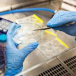 Как устроиться биологом в США: востребованные направления и особенности профессии