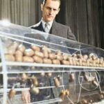 Призывная лотерея в США: как работает система Selective Service?