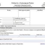 Петиция I-129: что нужно знать для успешного процесса получения рабочей визы?