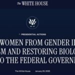 Ограничения на изменение гендерного маркера в паспортах: судебные разбирательства продолжаются