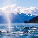 Топ-10 самых холодных штатов США: особенности климата и влияние на образ жизни