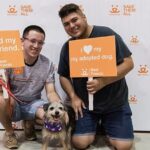 Как купить собаку в США: полное руководство для будущих хозяев