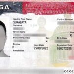 Можно ли ездить на авто с визой B2?