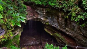Национальный парк Мамонтова пещера (Mammoth Cave National Park).