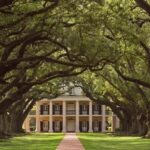 Плантация «Дубовая Аллея» (Oak Alley Plantation)