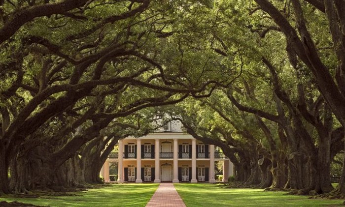 Плантация «Дубовая Аллея» (Oak Alley Plantation)