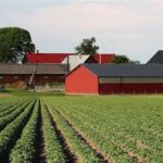 Продажа фермы в США: полное руководство для фермеров