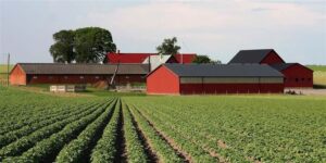 Продажа фермы в США: полное руководство для фермеров
