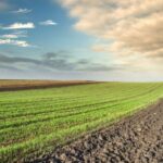 Как купить землю в США: от выбора участка до оформления сделки