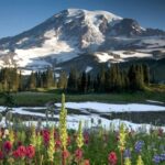 Пропавшие на Маунт-Рейнир: что происходит на таинственной горе?