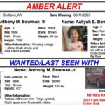 Воровство детей в США: законы, ресурсы и организации помощи