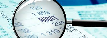 USCIS Audit