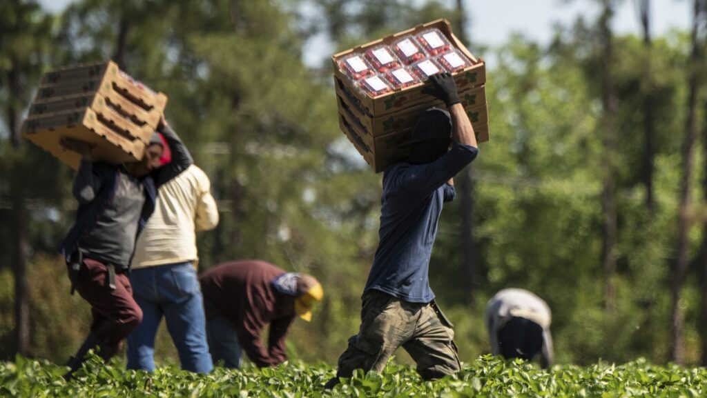 What is a EEOC claim