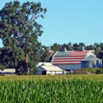 Покупка фермы в США