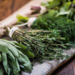 Народная медицина в США