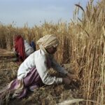 Депортационная политика и ее влияние на американские фермы