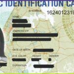 IDNYC в Нью-Йорке