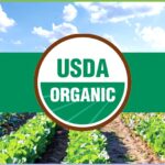 Как работает сертификация USDA NOP в США